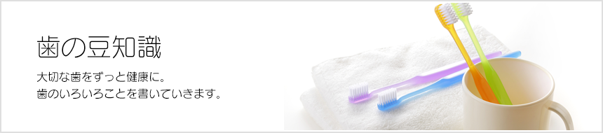 歯の豆知識